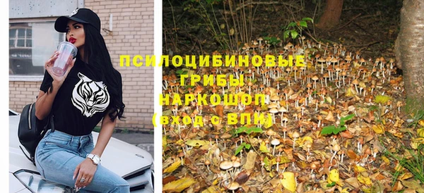 прущий лед Аркадак
