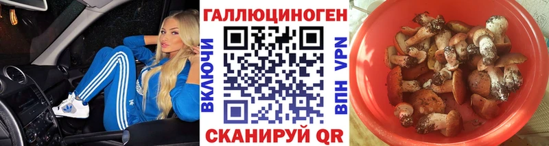 Галлюциногенные грибы Psilocybine cubensis  omg зеркало  Серов  купить наркоту 