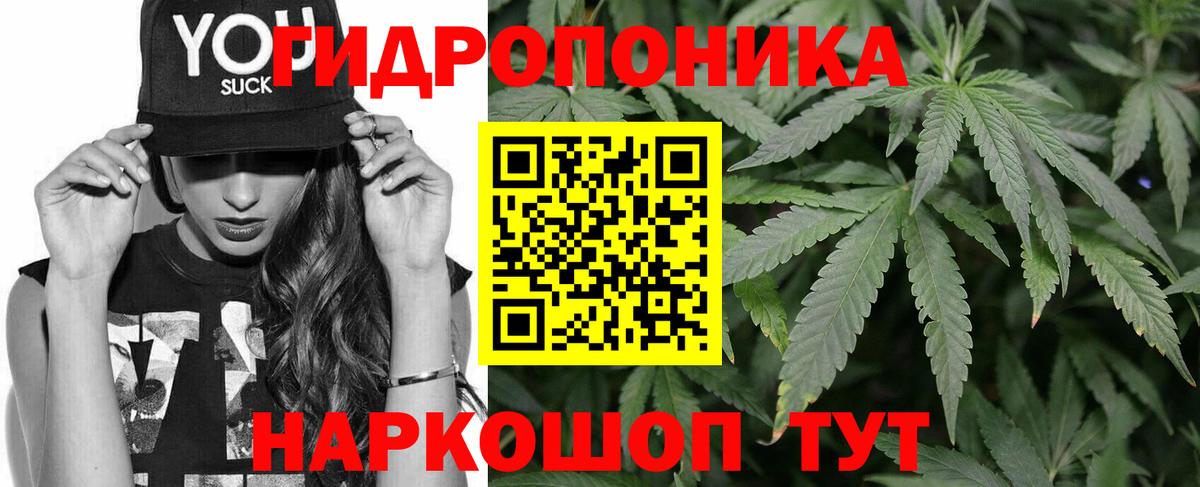 Конопля конопля  Вход с VPN  Марихуана Amnesia  Бошки марихуана AK-47  Бошки марихуана сатива  Серов 